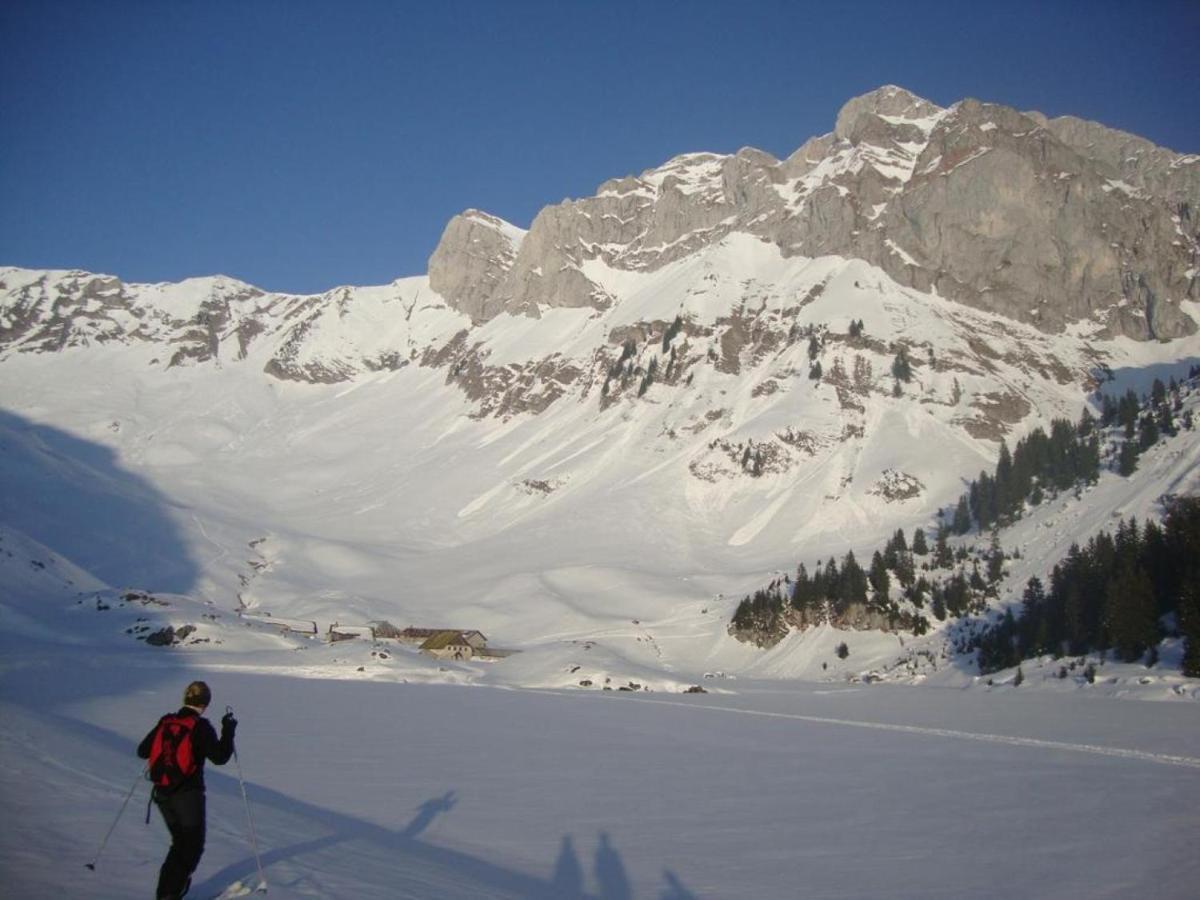 Le 67,Ski Et Randonnee,Lave Linge,Seche Linge,Parking Bernex Bagian luar foto