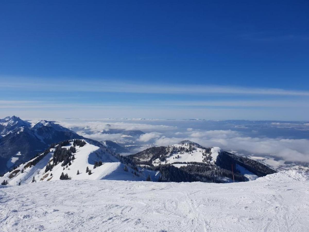 Le 67,Ski Et Randonnee,Lave Linge,Seche Linge,Parking Bernex Bagian luar foto
