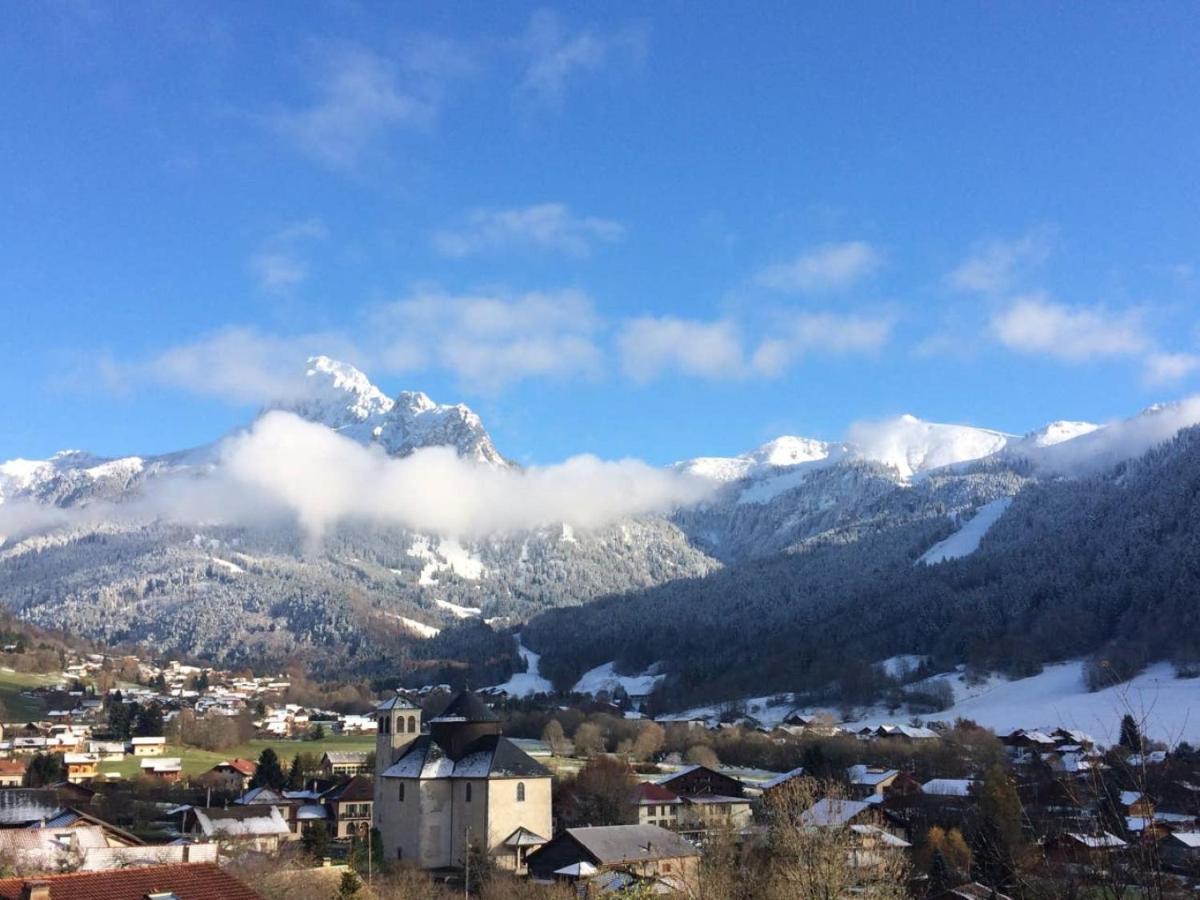 Le 67,Ski Et Randonnee,Lave Linge,Seche Linge,Parking Bernex Bagian luar foto