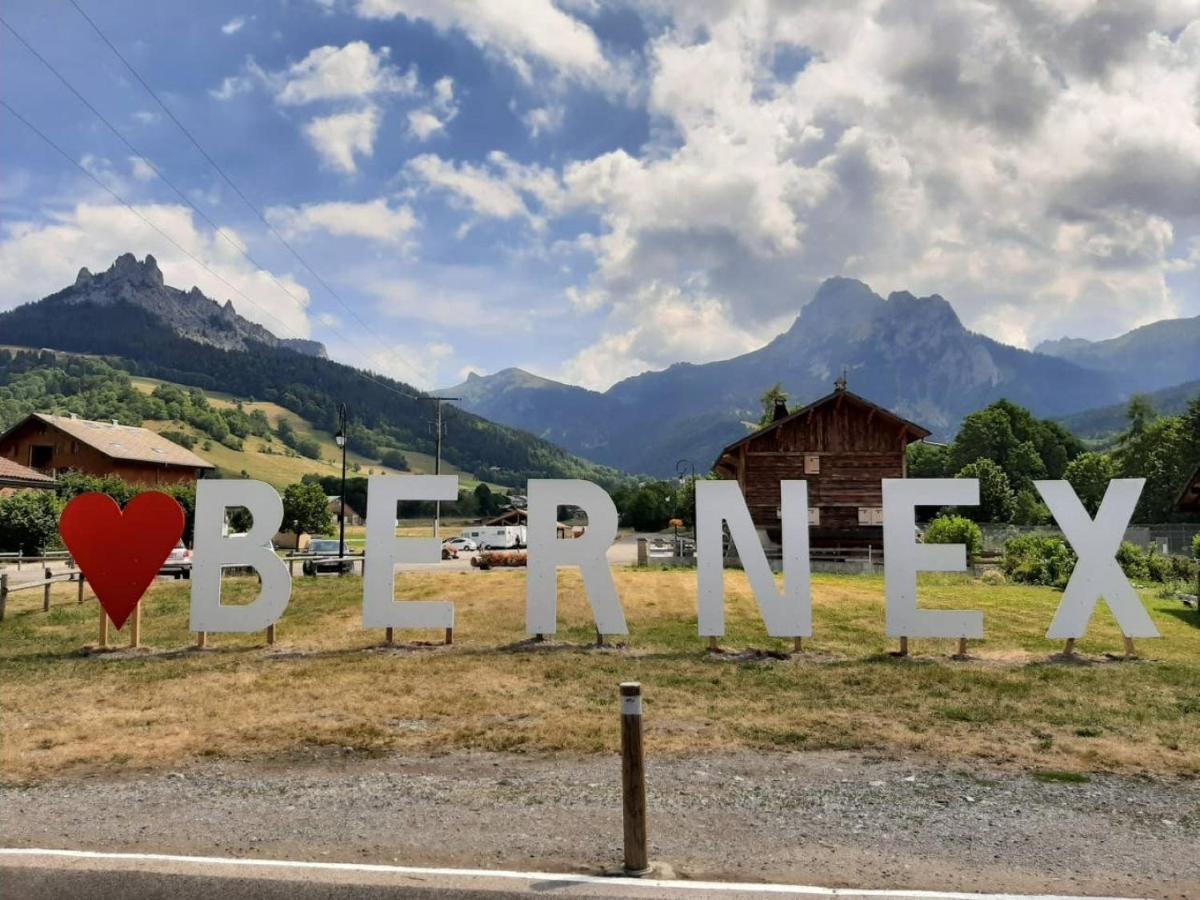 Le 67,Ski Et Randonnee,Lave Linge,Seche Linge,Parking Bernex Bagian luar foto