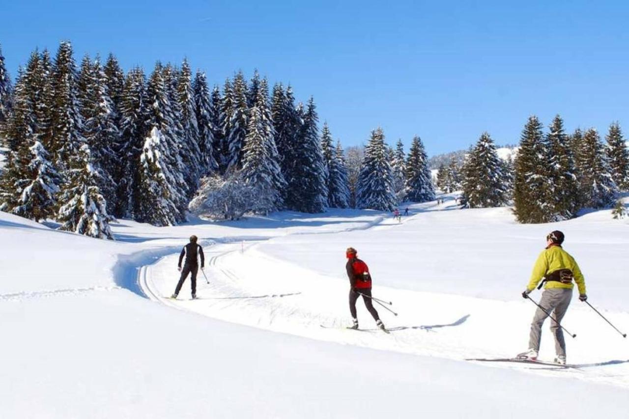Le 67,Ski Et Randonnee,Lave Linge,Seche Linge,Parking Bernex Bagian luar foto