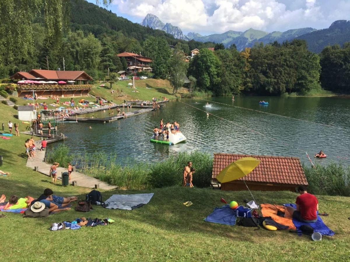 Le 67,Ski Et Randonnee,Lave Linge,Seche Linge,Parking Bernex Bagian luar foto