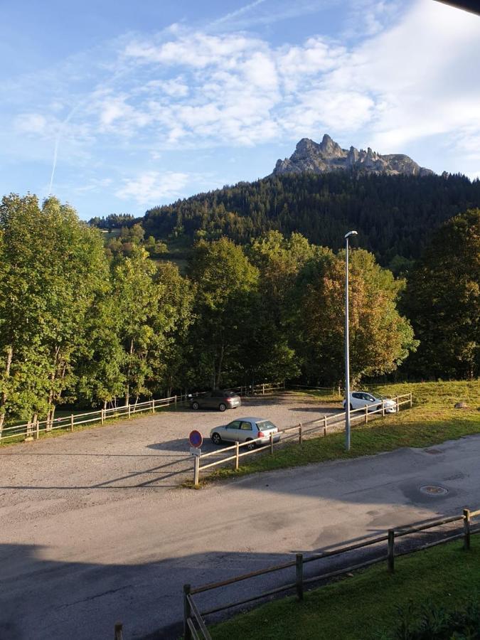 Le 67,Ski Et Randonnee,Lave Linge,Seche Linge,Parking Bernex Bagian luar foto