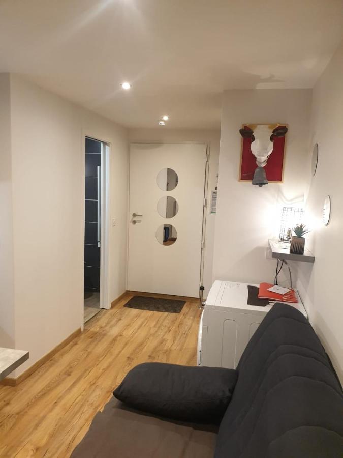 Le 67,Ski Et Randonnee,Lave Linge,Seche Linge,Parking Bernex Bagian luar foto